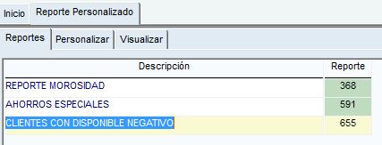 Repor.15.JPG